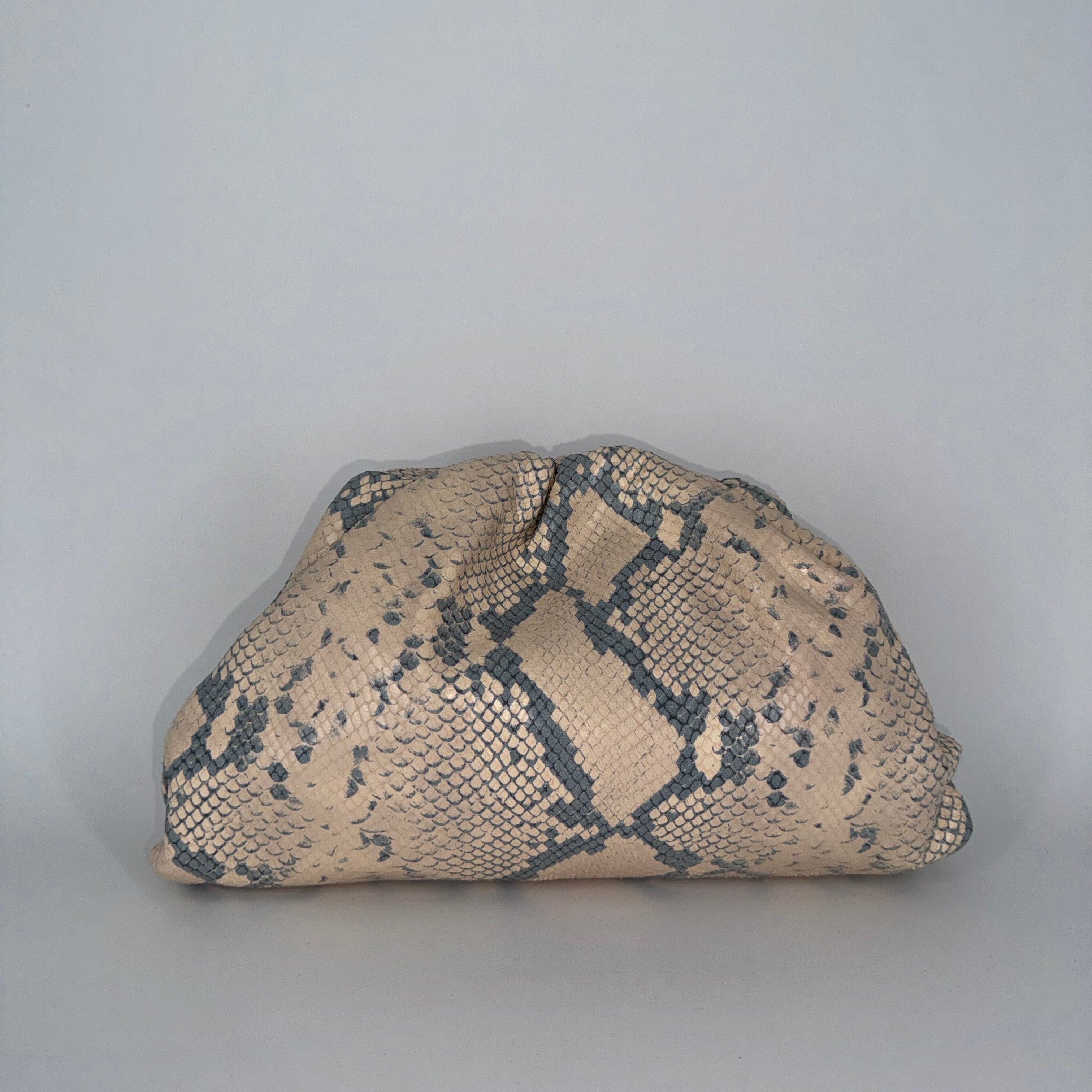Bottega Veneta Clutch in Python